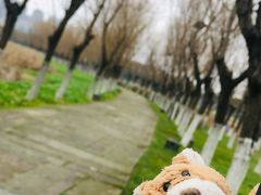 -艾溪湖湿地公园