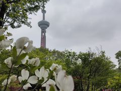 -南京古林公园