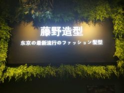 点击看大图 -藤野造型