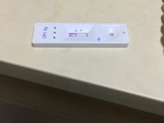 -动物缘宠物医院·骨科·猫科(西二环店)
