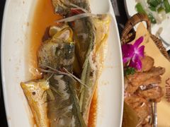 -前海沿·青岛菜(乐客城店)