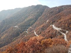 -白草畔自然风景区