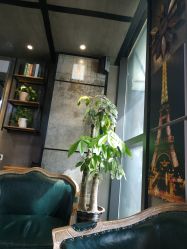 -上禾 HAIR SALON