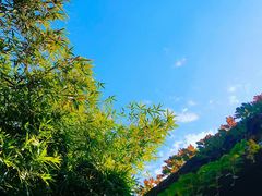 -三喜•正本匠心日料(月河店)