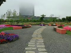 -春花秋色城市公园