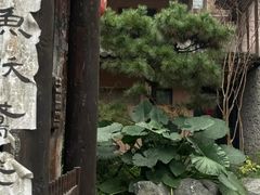 -驿舍·民國老营房院子私房菜(科学会堂店)