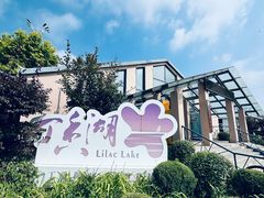 -丁香湖公园