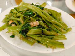 虾酱空心菜-新陶陶酒家