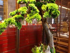 -牛村来人潮汕牛肉火锅(西单店)