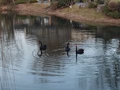 -雅达·阳羡溪山小镇中心