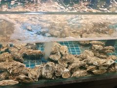 -鼎原力量东北吊炉烧烤(幸福街店)