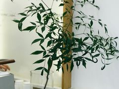-Onirii Coffee(长乐路店)