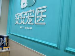 -安安宠医宠物医院·异宠·犬猫内科(岳阳分院)