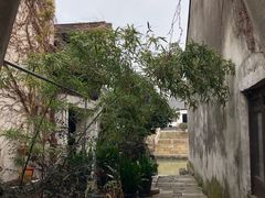 -张家港凤凰山景区恬庄古街