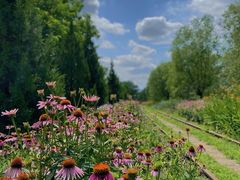 -永定河休闲森林公园