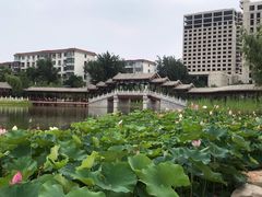 -西海子公园