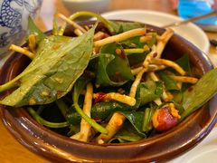 -云海肴·汽锅鸡·云南菜(东坝金隅店)