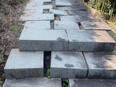 -午潮山国家森林公园
