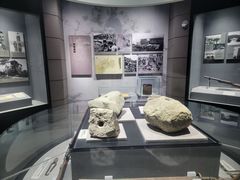 -烟台市博物馆