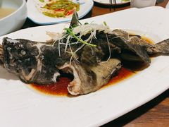 油泼石斑鱼-聚缘堂·海鲜私房菜(松岭路店)