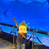 长隆海洋王国