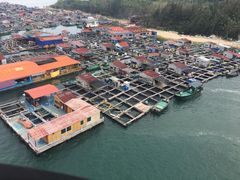 -蓝湾碧波·老字号·疍家非遗海上餐厅