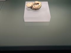 -河北博物院