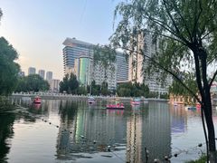 -万泉公园