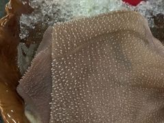 鲜毛肚-湊湊火锅·茶憩(东城万达店)