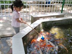 -荆州中山公园动物园