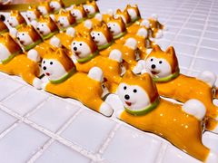 -柴务处·柴犬主题狗咖