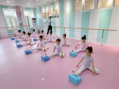 -桃子公主舞蹈培训(万柳校区)