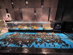 水产区-Mr·Fish鱼鲜生海鲜放题(银泰in99店)