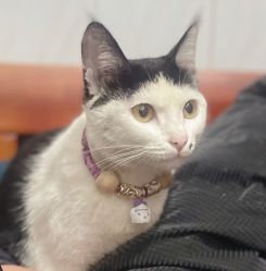 -深圳春天阳光医院·轮廓抗衰中心