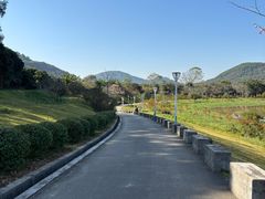 -风云岭森林公园