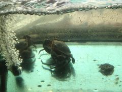 iphone_upload_pic-合家小菜餐馆(新诚花苑店)