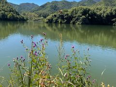 -玉渡山自然风景区