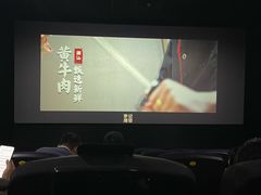 -CMC大光明影城(莲花店)