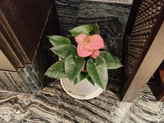 -潮府馆·非遗潮州菜·世纪公园(新国际博览中心店)