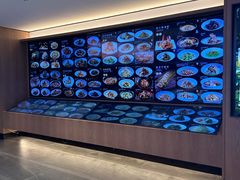-连鹭海鲜·海肠捞饭·海胆饭(星海店)