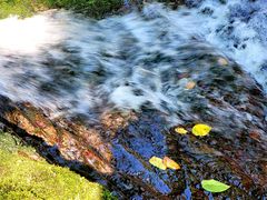 -云岫谷游猎自然风景区
