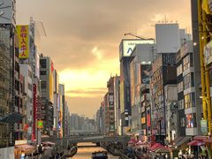 -蟹道乐(道顿堀本店)