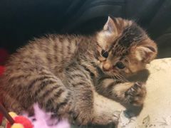 -么么咖啡(燕郊店)