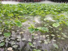 -四川大学(望江校区)