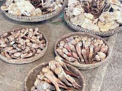 -云南木水花野生菌交易中心