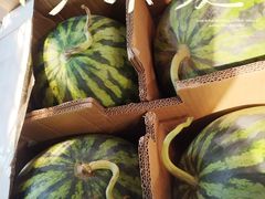 -砂之船奥特莱斯(合肥店)