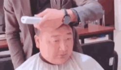 -诗全发型