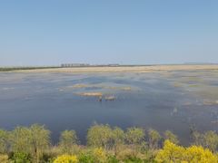-南大港湿地风景区