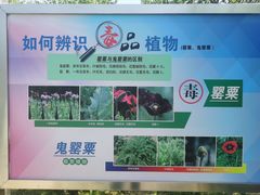 -国家植物园南园