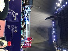 -成都金融城演艺中心